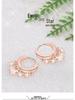 Jingdong Star-Shaped Earrings: Women's Celebrity Five-Pointed Star Ear Clips & Hoop Earrings.