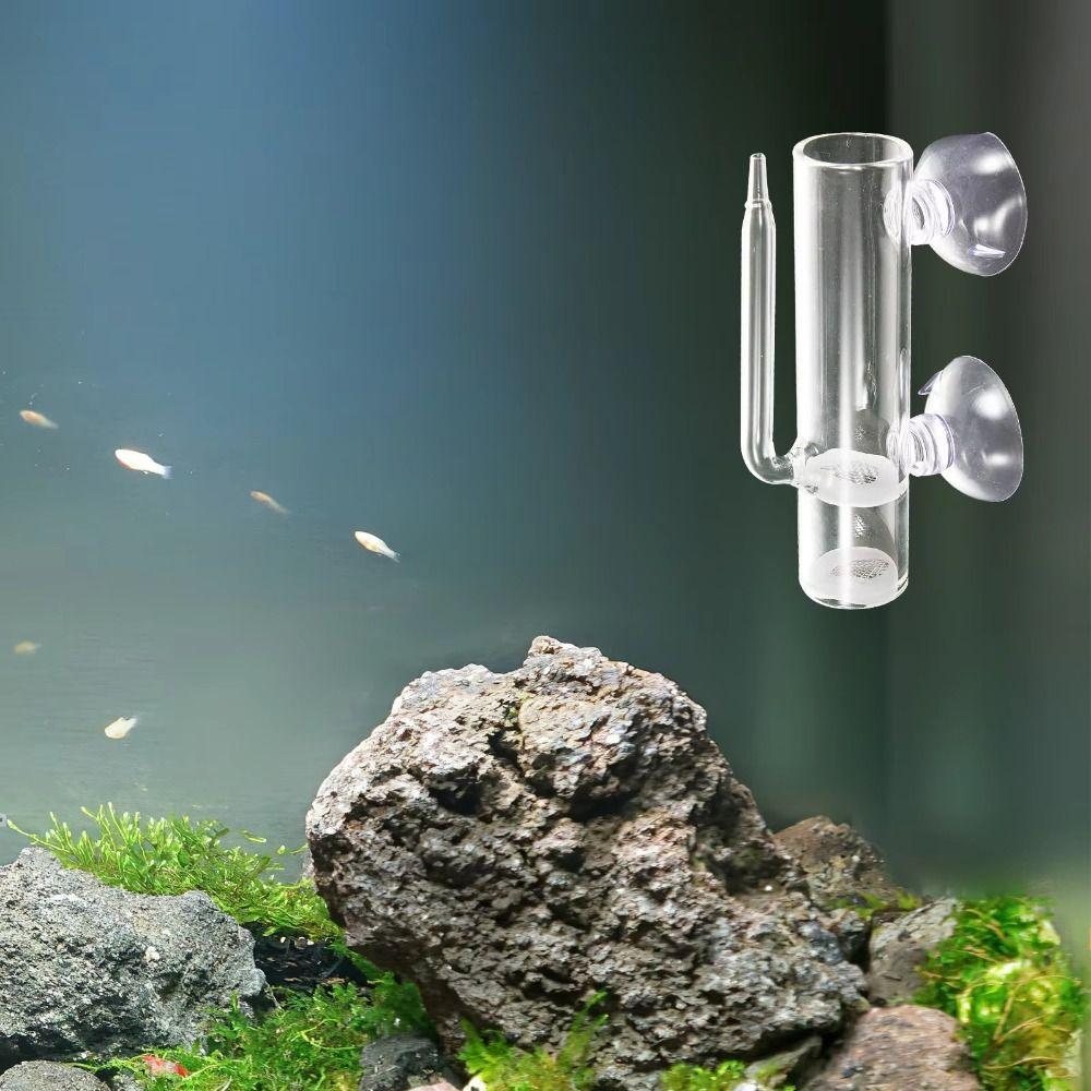 Smooth Glass Shrimp Hatchery Glass Aquarium Breeding Tube Shrimp Egg Incubator  Shrimp Breeding