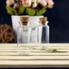 Mini Glass Drift Bottle for Baby Hair Preservation with Cork