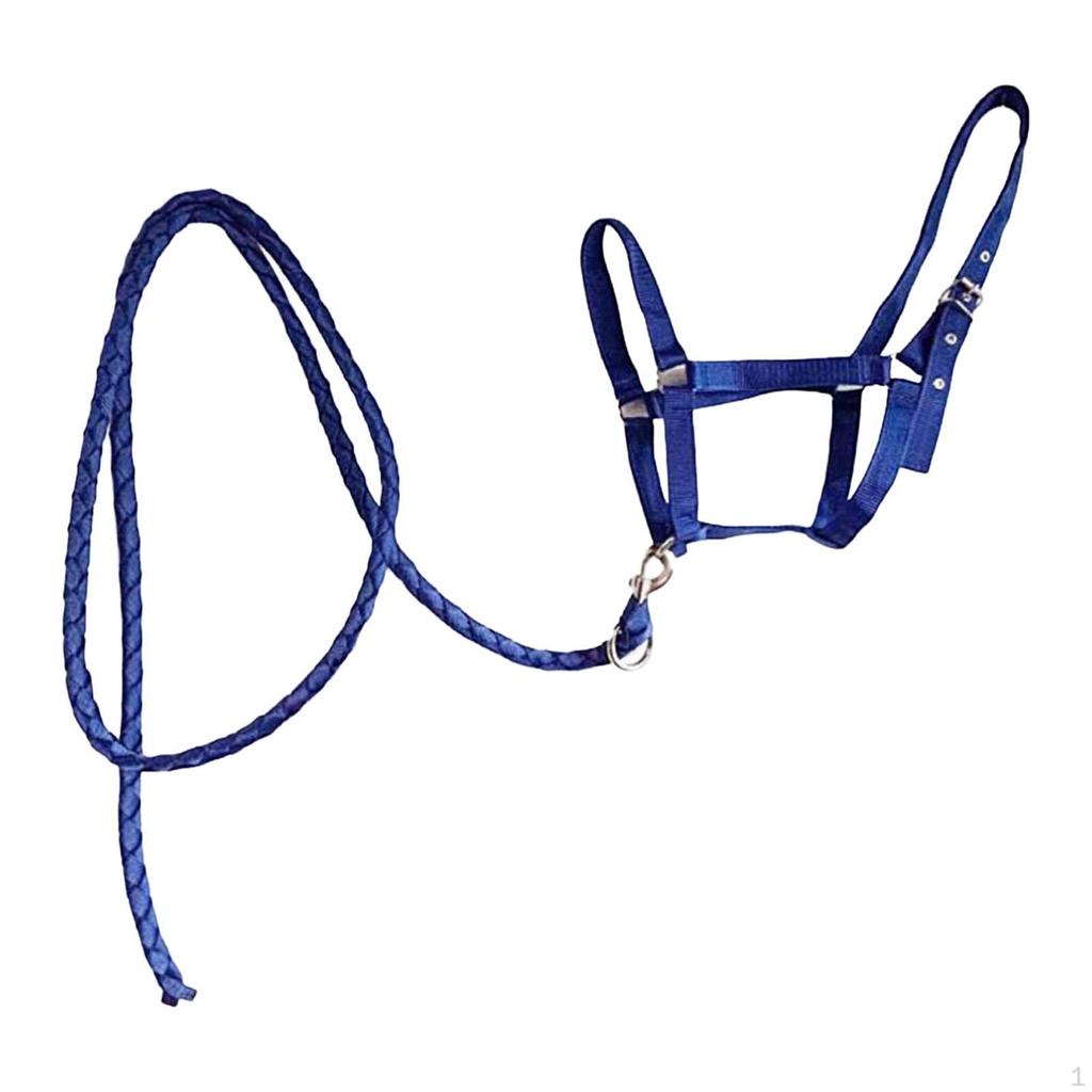Halter Rope with Reins, Horse Harness, Bridle, Equestrian Equipment for Owners And Racetrack