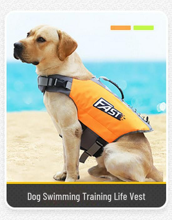 Letní kombinéza pro mazlíčky proti vypadávání srsti: Prodyšný, čtyřnohý domácí obleček pro velké psy