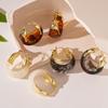 Ombre Resin U-Shaped Basket Ear Cuff Earrings - Minimalist Geometric Style for Women