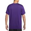 Nike Dri Fit Team Legend T Shirt Men's Garden Purple IB8898-547