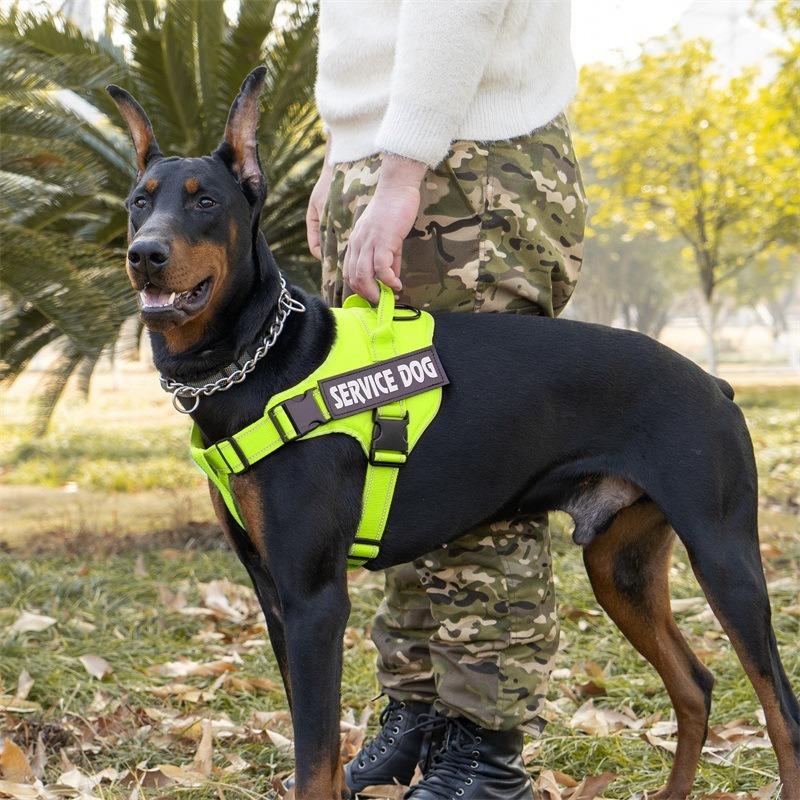 Reflective Anti-Pull Dog Harness With Hook And Loop Patch Panel