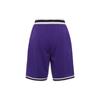 Nike Dri-Fit DNA Color-Block Striped Straight-Leg Shorts Men Shorts Purple DR7229-547