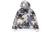 Adidas Originals Sweatshirts Men's Multicolor Hooded Moderate Regular GD9287