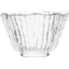 Baizi'en Kung Fu Glass Tea Cup Set