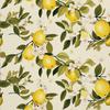 Outdoor Dekostoffe Oxford - Motiv Obst | Dx6466