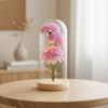 Simulation Carnation Soap Flower Eternal Flower Glass Cover Mother's Day Gift for Mom Valentine's Day Gift Teachers' Day