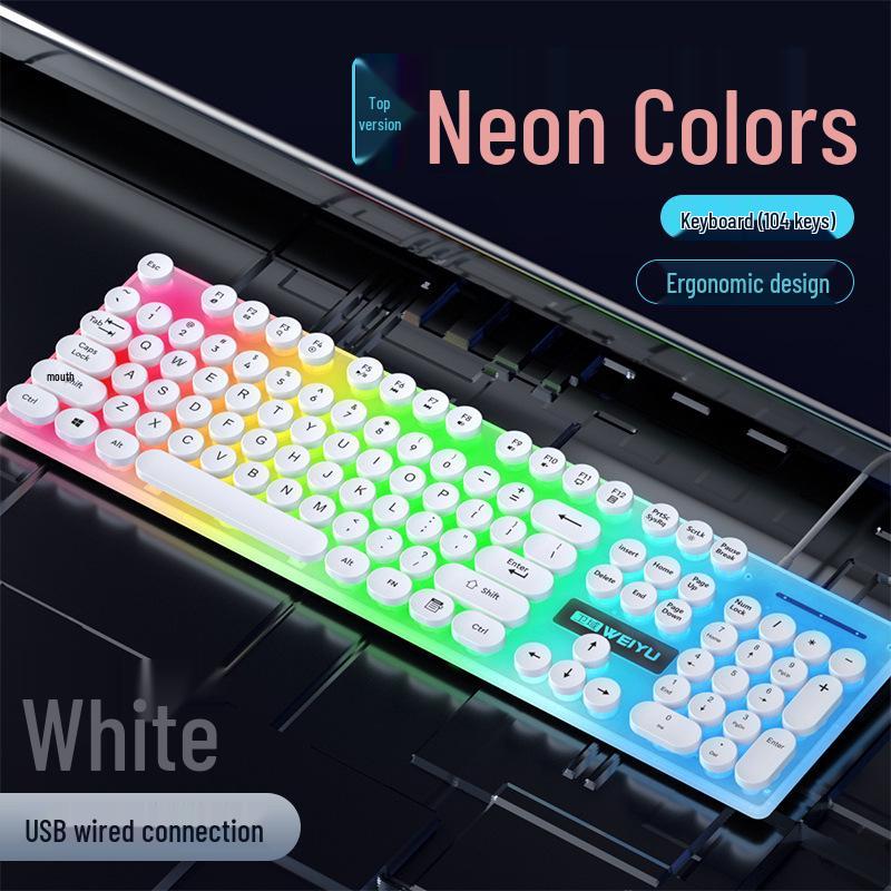 Luminous Punk Keycaps Wired Keyboard & Mouse Set for Gaming