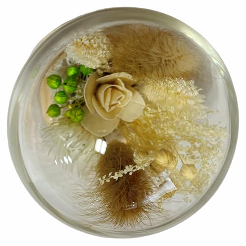 Q-FLA Dried Flower Dome Arrangement, White, Perfect for Gifts and Celebrations, 813566