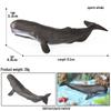Children's Marine Animal Toy: Whale, Shark, Humpback Whale Model
