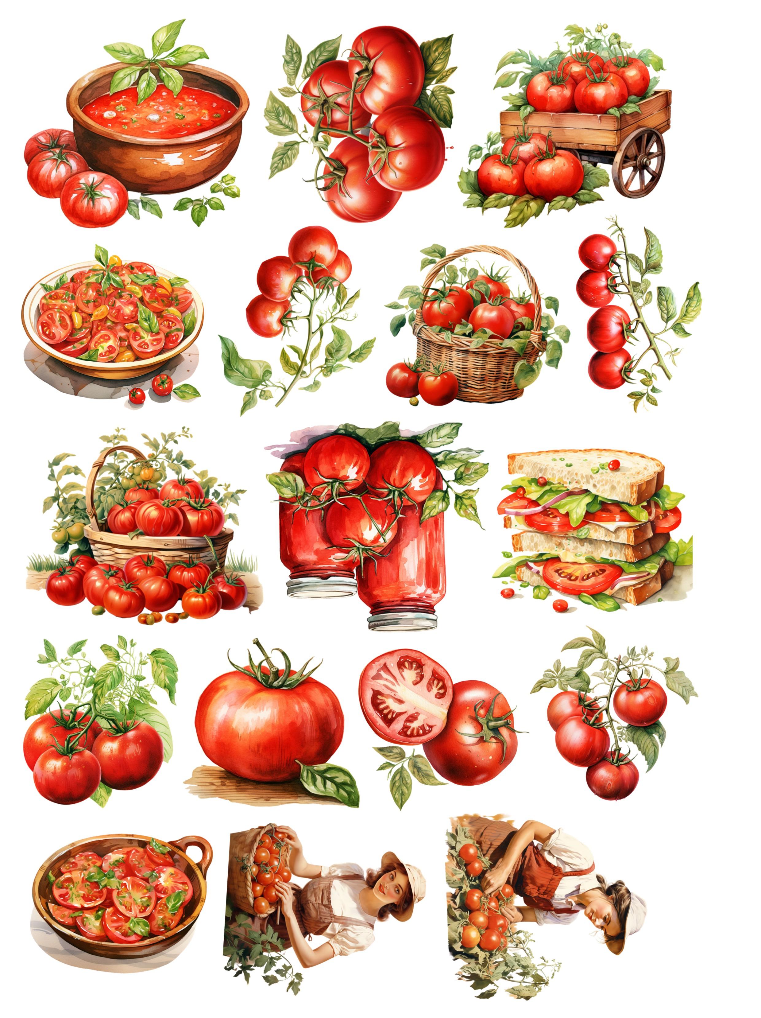 

17PCS DIY Scrapbooking Hand-painted Watercolor Retro Tomato Farm Stickers Album Daily Planner Label stationery vintage білий