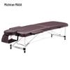 Meizhiyan Portable Aluminum Massage Bed for Home, Tattoo, and Physiotherapy Use