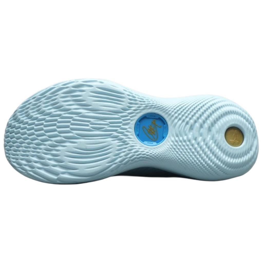 Curry Brand Curry Flow 12 Pisces