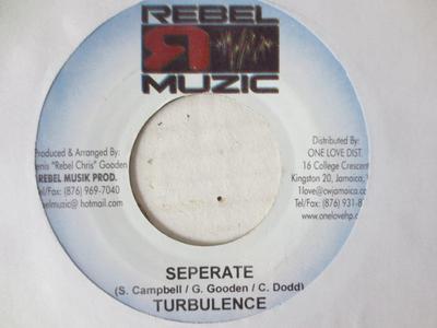 7inch Record TURBULENCE - Seperate NONE Rebel Muzic 2004 Jamaica Reggae, Ska & Dub Used