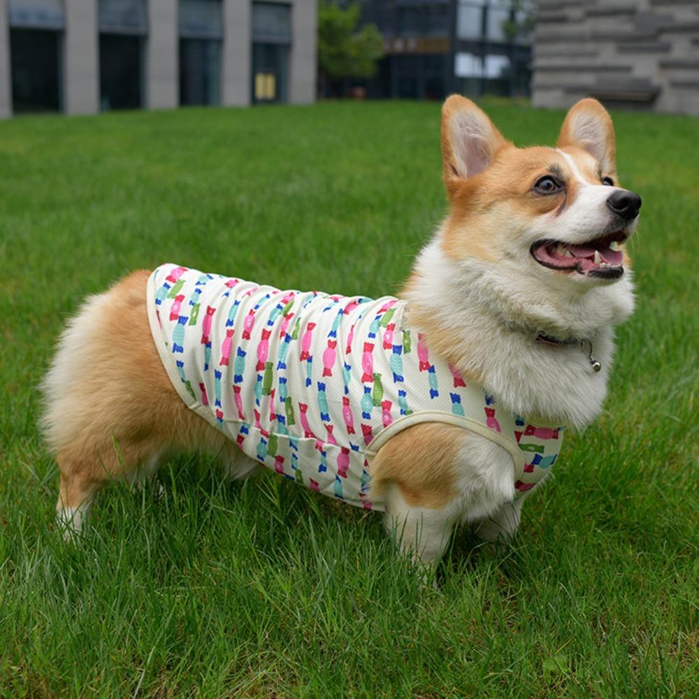 Fruit print Pomeranian teddy clothes, cute and thin medium and small dog pet vests, starting from 2 pieces after clearance.