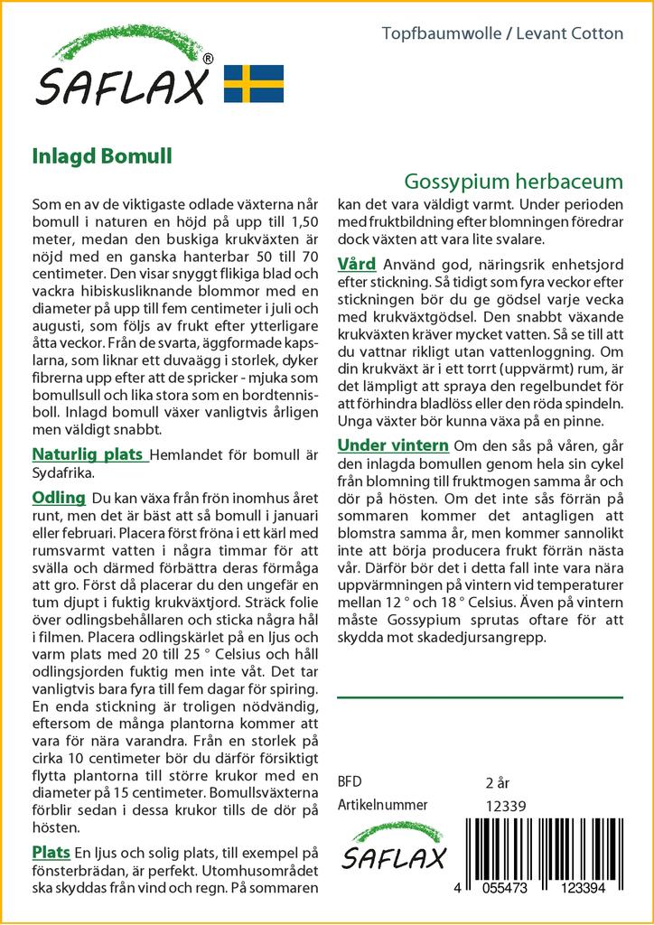 SAFLAX Levant Bavlna - 12 semen - Gossypium herbaceum