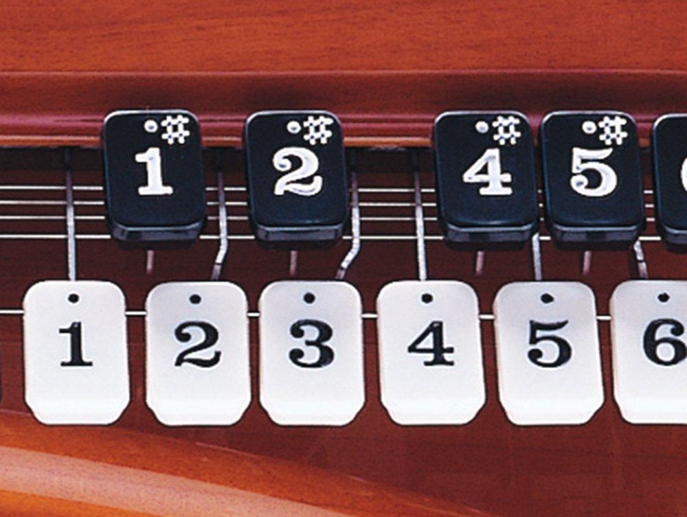 SUZUKI Taishogoto Electric Tip Amber II