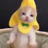 Plush Cat Costume Banana Hat Pet Halloween Banana Hat Applies to Cats Kitten Puppy Wear