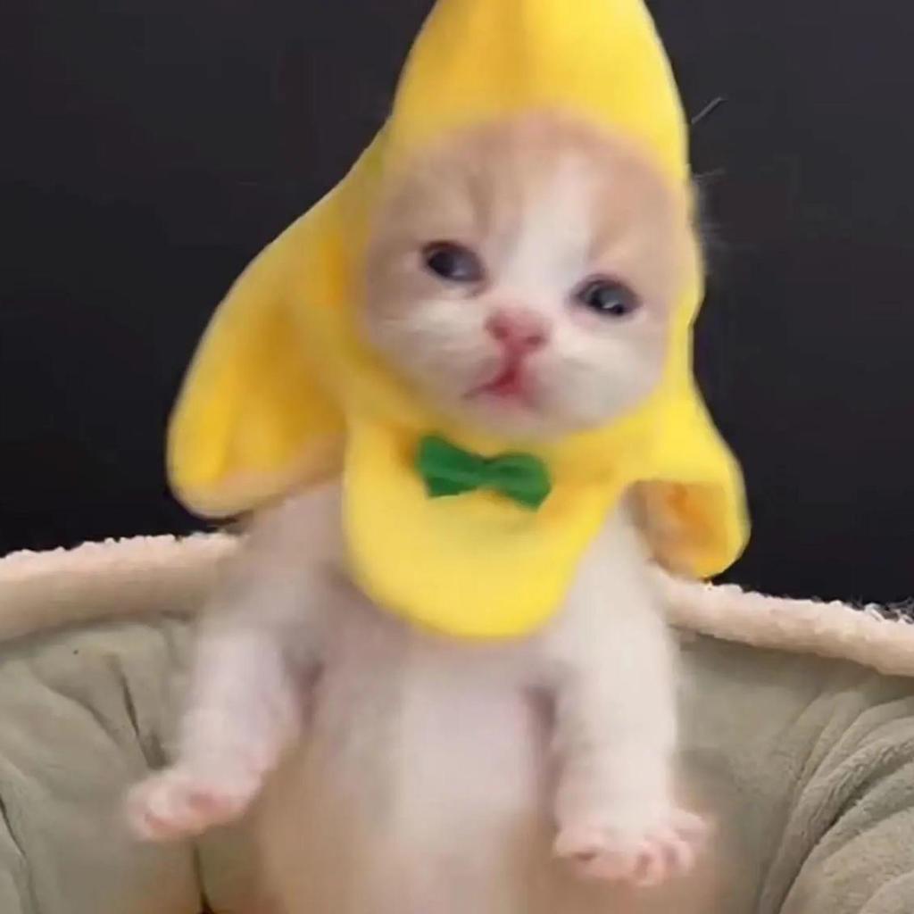 Plush Cat Costume Banana Hat Pet Halloween Banana Hat Applies to Cats Kitten Puppy Wear