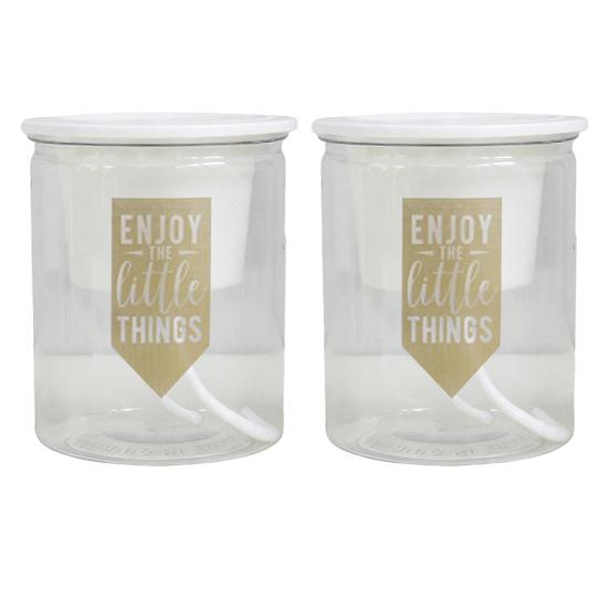 Self Watering Plant Pot Flower Pot with Transparent Reservoir Clear Self Watering Planter for Indoor Plants Flowers African Violets