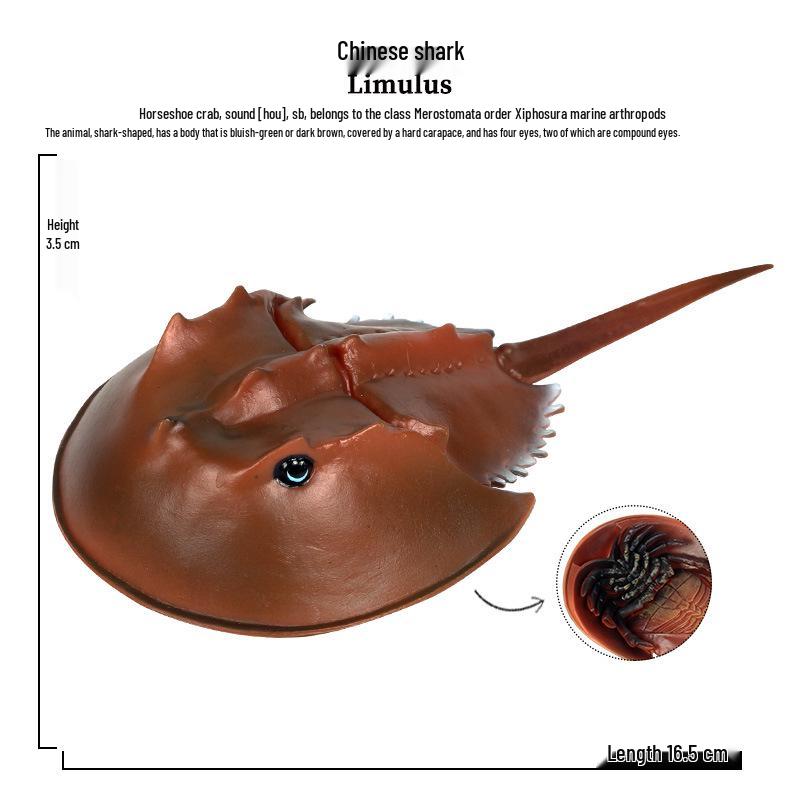 Children s Toy Marine Animal Model: Horseshoe Crab Plastic Ornament