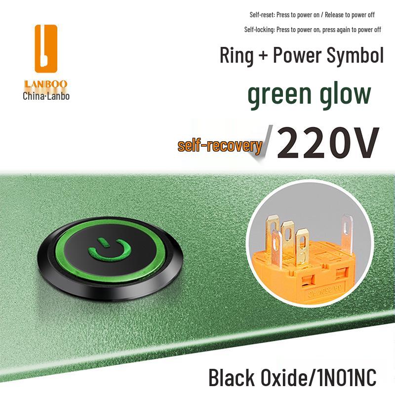 Lanbo 22A Stainless Steel Illuminated Self-Locking Momentary Push Button Elevator Switch