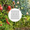 Bulb Cages For Planting Protectors 15Piece Root Guard Gopher Basket For Garden Plants Root Tree Vegetable Bird Animals Outdoor