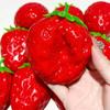 Creative Squishy Strawberry Stress Ball Toy Super Soft Building Block Filling Squeeze Fidget Toy Asmr Sensory Anti Stress Toys