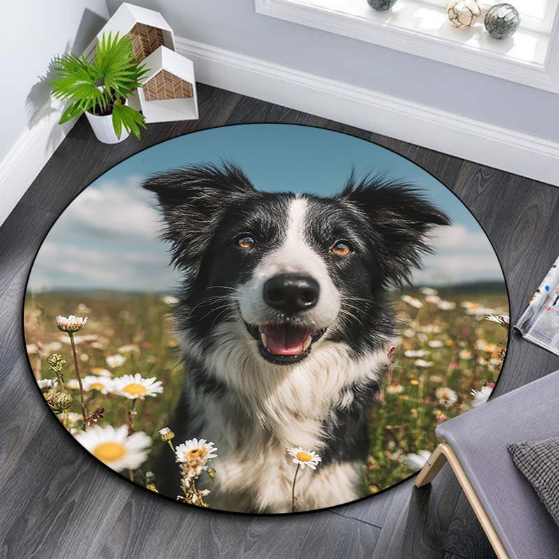 Happy Border Collie Round Area Rug,Carpet Rug for Living Room Bedroom Sofa Playroom Decor,Non-slip Floor Mat