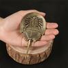 Metal Turtles Statues Turtles Figurine Sculpture Desktop Ornament Bookshelfs Cabinet Home Decors Tabletop Centerpieces