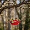 2Pcs Hanging Hummingbird Feeders Saucer Style Bird Feeders with 30 Feeding Ports Ant Moat Bee-Proof Hummingbird Nectar Feeder for Outdoor Backyard