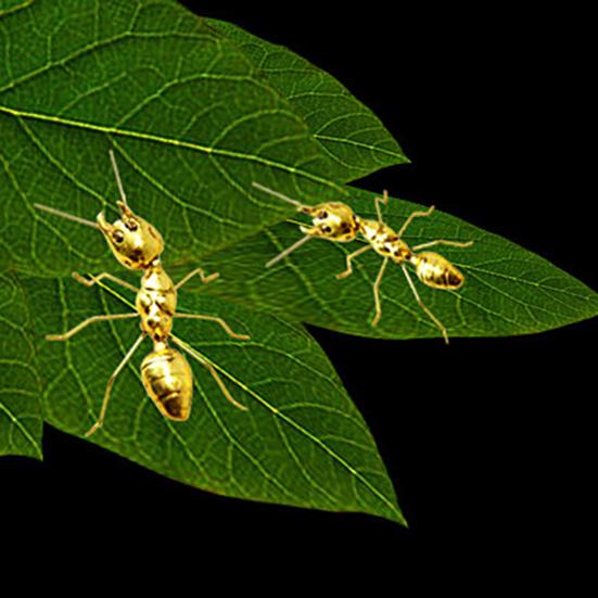 Ant Ornament Polished Alloy Golden Ant Sculpture Vintage Style Ant Statue for Home Office Garden Decoration