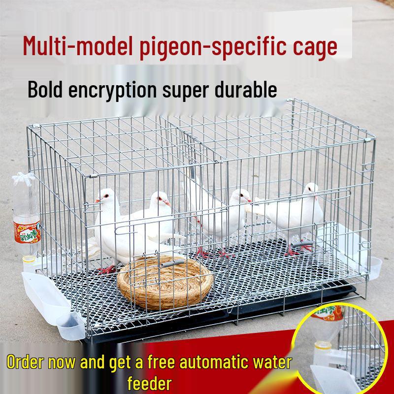 Large Pigeon Cage for Breeding & Pairing with Free Shipping - Ideal for Household Use