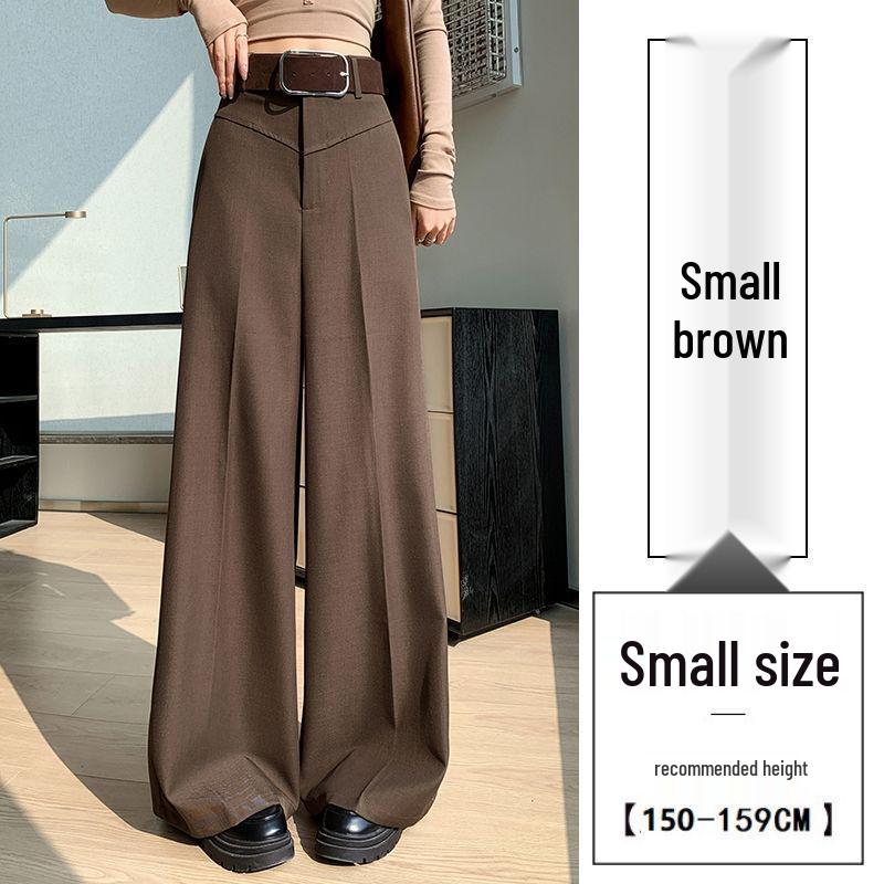 Women's High-Waisted Wide-Leg Floor-Length Pants - Spring/Autumn 2026 Slimming Drape Design