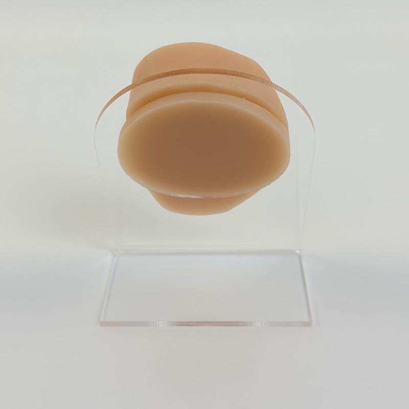 Professional Silicone Body Facials Piercing Trainer With Realistic Skin Texture For Dental Education And Aesthetic Labs
