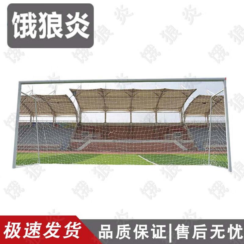 Elangyan Standard 11-a-side Football Goal
