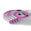 Dasheng Light 16-Core MPO-LC Multimode OM4 Fiber Optic Patch Cord