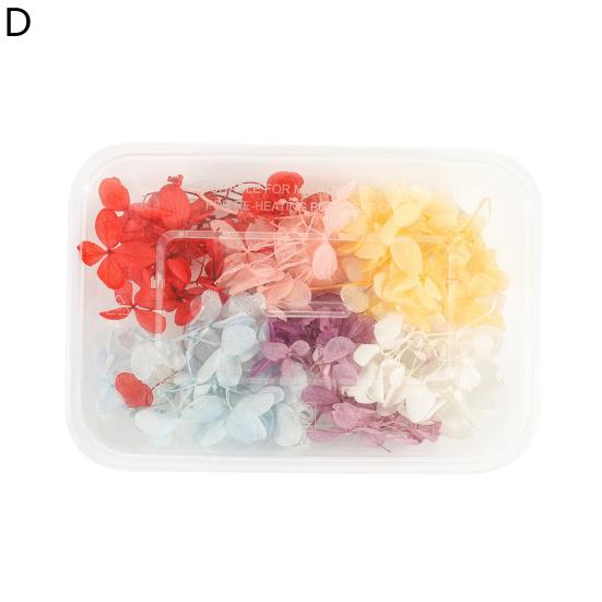 Artă populară Floare uscată Moale Vii Estetică