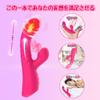 Vibrator Suction Vibrator for Vaginal Sucking Types of Expansion and Contraction 10 Types of Vibration 10 Types of Suction Popular Vibrator Piston