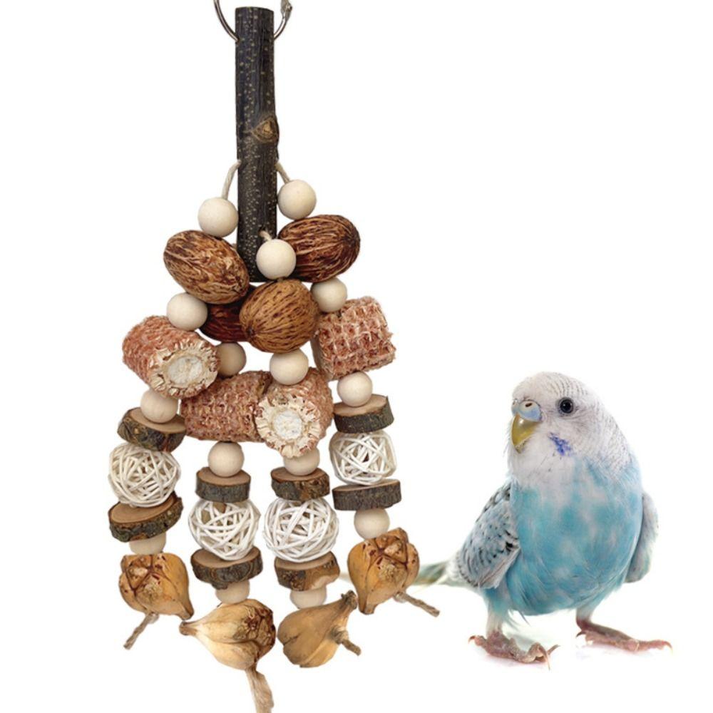 Natural Wood Bird Wood Nut Toy Corncob Bite Training Toy Parrot Chewing Toy  For Birds