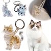 Creative Cat Hair Storage Box Bag Hanging Ornament Keychain Decoration Gift Cute Cat Hair Creative Transparent Hanging