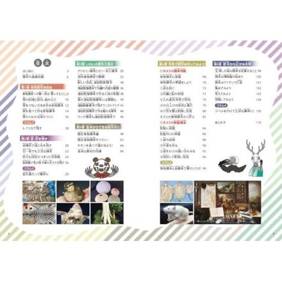 Interesting Specimen Laboratory From Creating Familiar Bone Specimens Secrets Exhibitions (Manabukk)