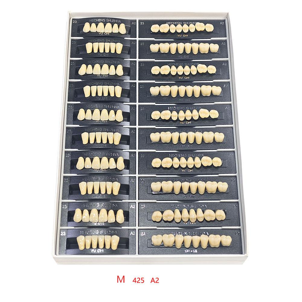 5 Sets/Box Dental Acrylic Resin Teeth 2 Layers Denture 28*1 Full Mouth S/M/L A2 A3 Stability Dentistry Material
