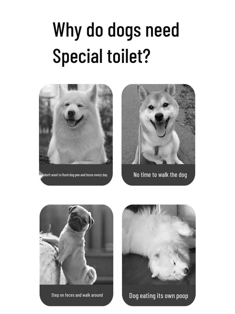 Flat Dog Toilet Urine Tray for Small To Medium Dogs – Ideal Pet Poop Solution