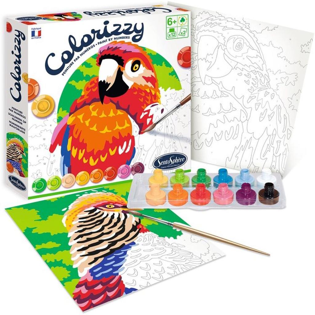 Peinture Acrylique - SENTOSPHERE - Colorizzy - Oiseaux - Peinture a numéro pour jeunes artistes - Des 8 ans