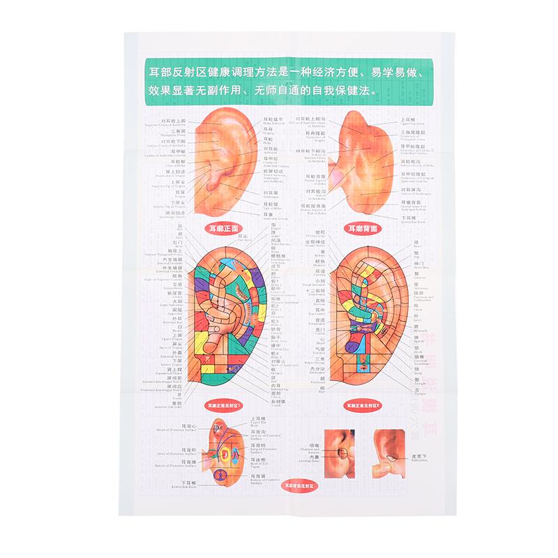 4 In 1 Set Multi-Condition Ear Seeds Acupuncture Auricular Sticker Kit 1200Pcs With Acupressure Chart Tweezer Auricular Probe