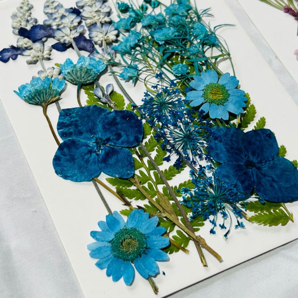 Dried Pressed Flowers For Resin Molds, DIY Bookmark Resin Epoxy Accessories, Small Dried Flower Natural Herbs Pressed