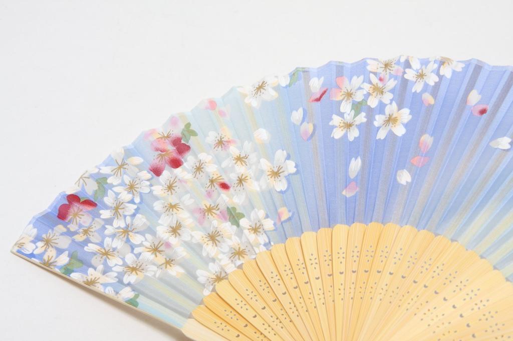 Silk Fan with Fan Boxed Blossom Light [Hasegawa] Women's Case, (Cherry Blue)
